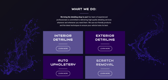 Business website page with a black and purple background and four boxes with the text "Interior Detailing," "Exterior Detailing," "Auto Upholstery," and "Scratch Removal" and four buttons saying "Learn More." 